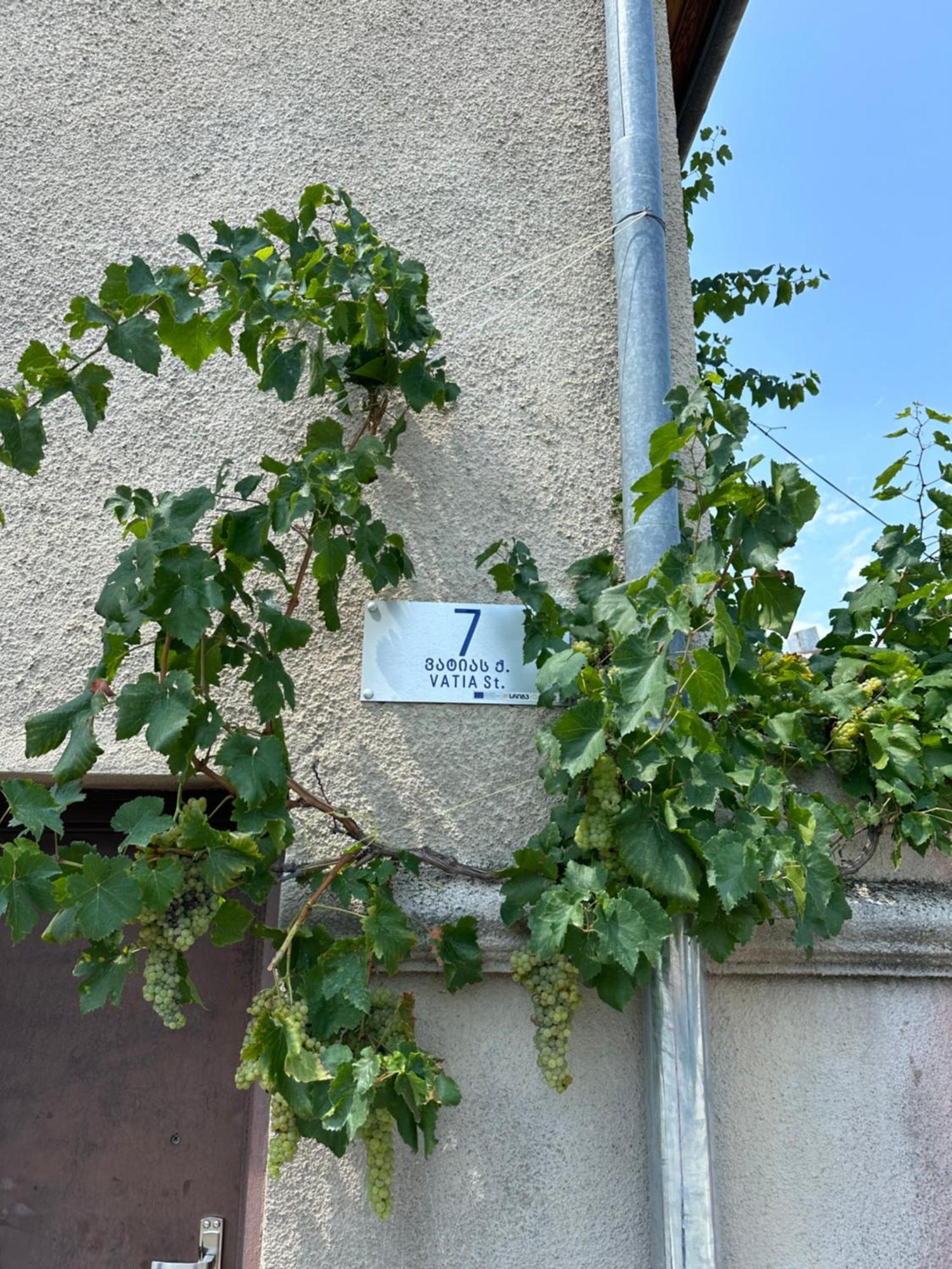 Guest House Kartuli Suli Telavi Exterior foto